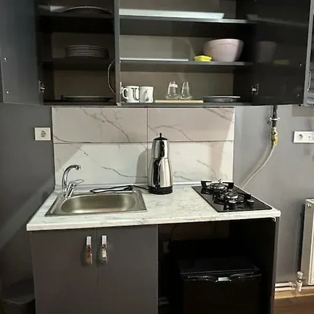 Daily Rent In Center Of Besiktas דירה *
